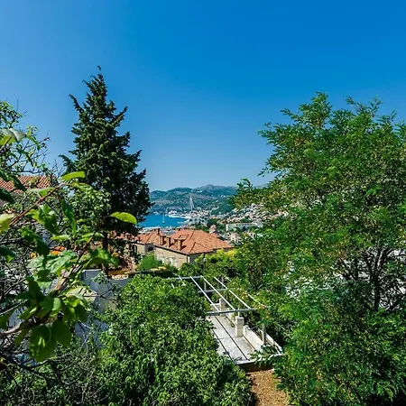 Dub * Dubrovnik
